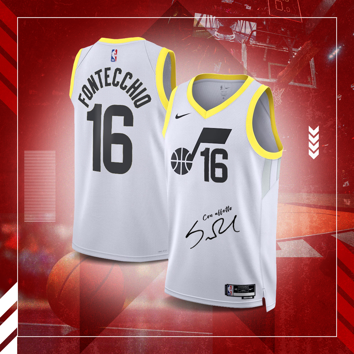 image representing the cover of the level from the title:Utah Jersey #2