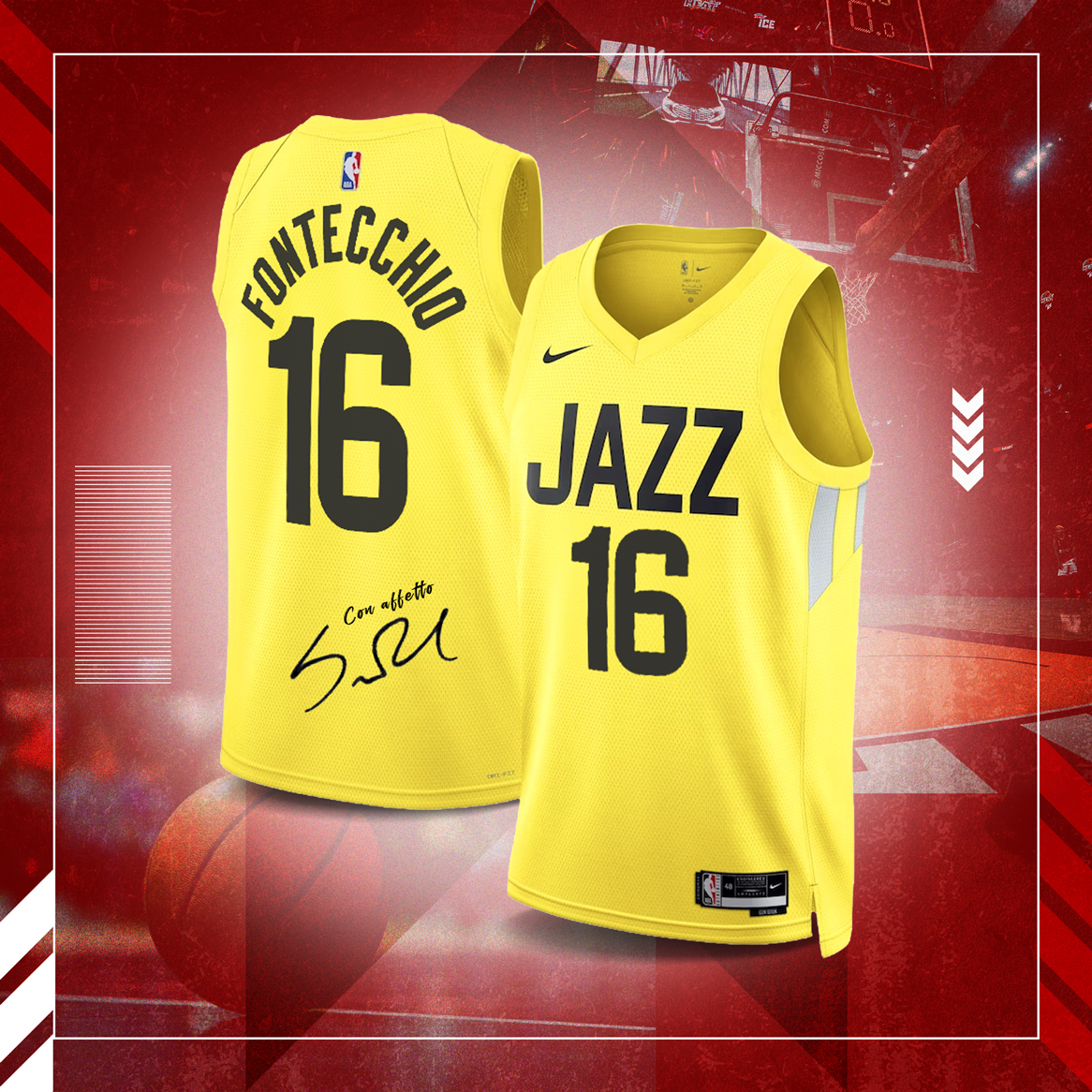 image representing the cover of the level from the title:Utah Jersey #3