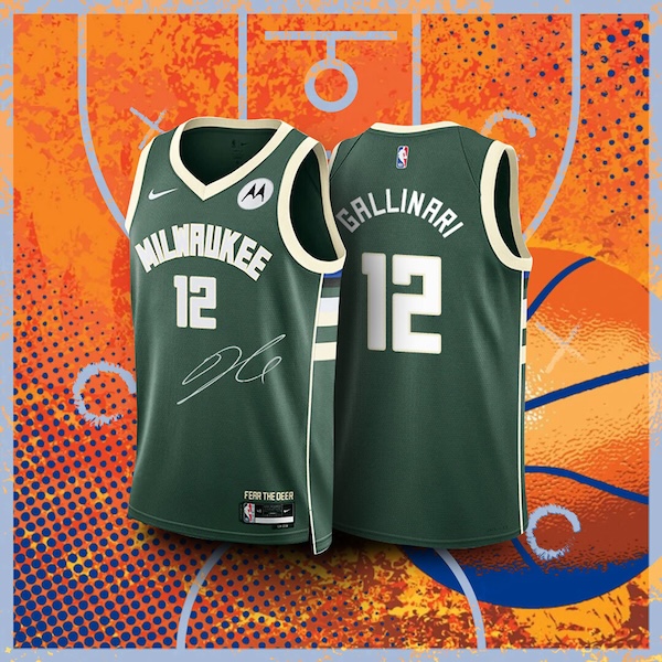 image representing the cover of the level from the title:GALLINARI